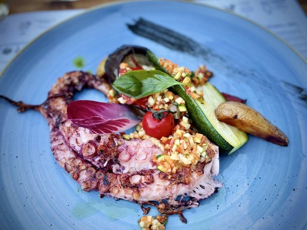 Quels critères pour sélectionner une plancha avec bac récupérateur de graisse pour une cuisson saine?